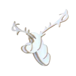 3D ראש אייל לקיר